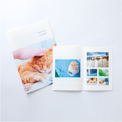 PhotoZINE MAGAZINE